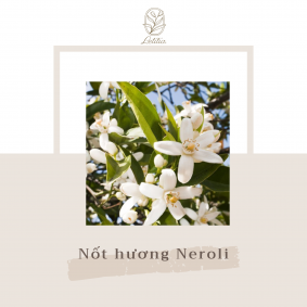 Nghiền ngẫm ngấu nghiến nốt hương Neroli