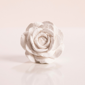 Rose Gypsum Diffuser