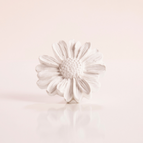 Daisy Gypsum Diffuser