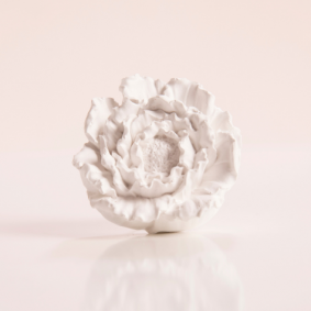 Peony Gypsum Diffuser