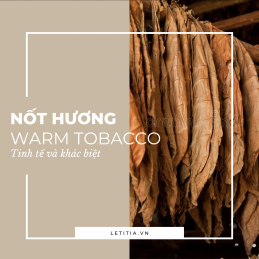 Nốt hương Warm Tobacco - Không chỉ là mùi hương, mà là cảm xúc